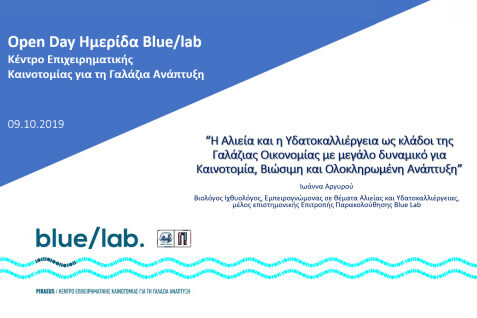 blue-lab2