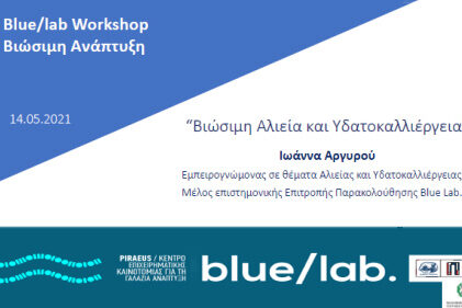 blue-lab3
